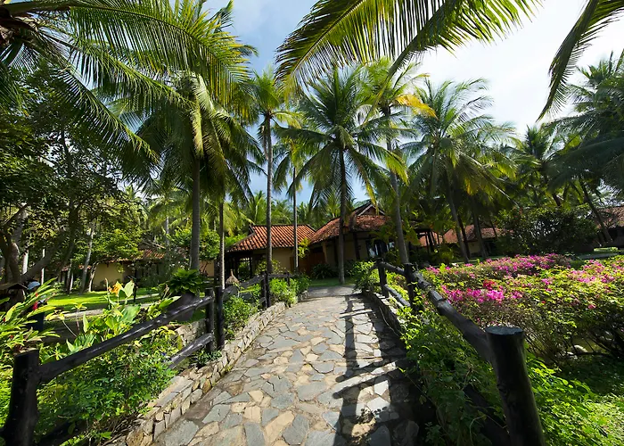 Seahorse And 4* Phan Thiết