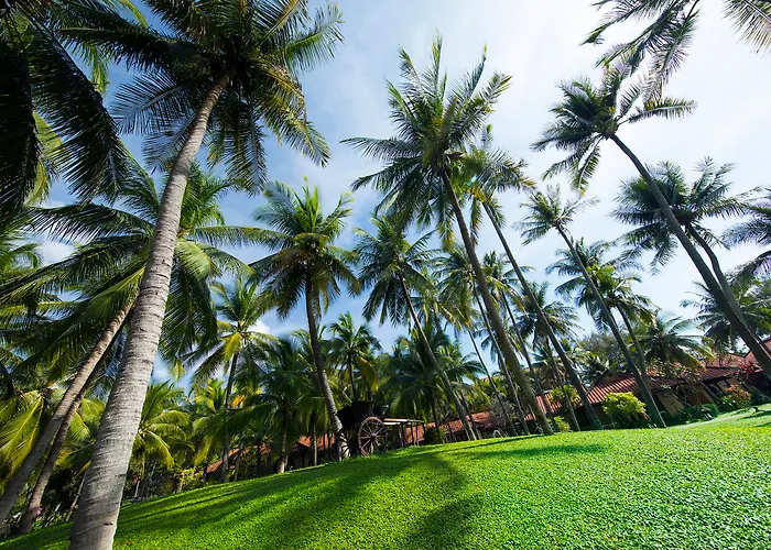 Khách sạn Seahorse And Phan Thiết