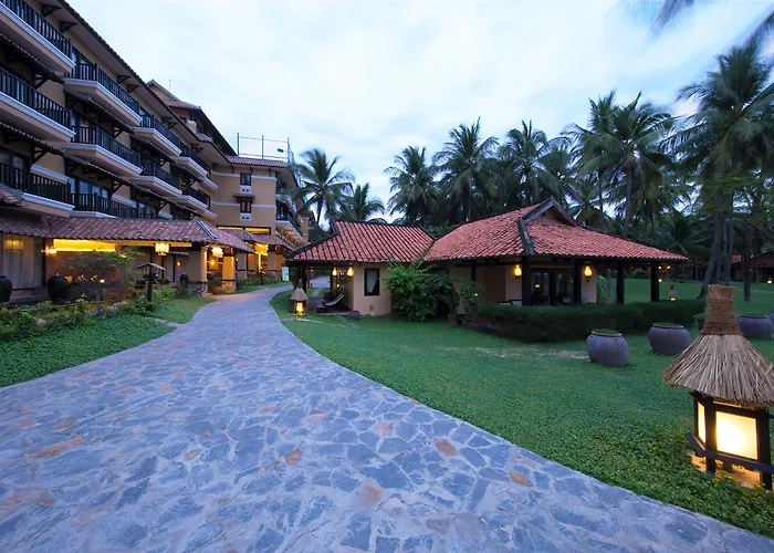 Seahorse And Phan Thiết